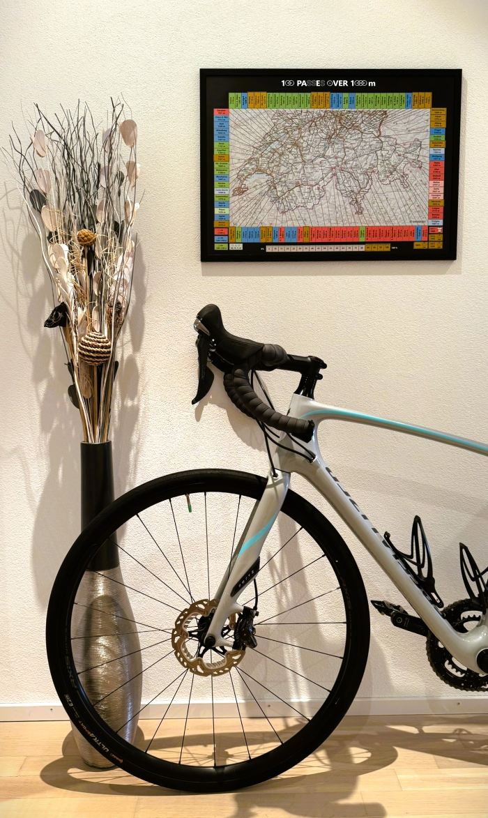 100 Passes Challenge cycling scratch map (frame / poster tube)