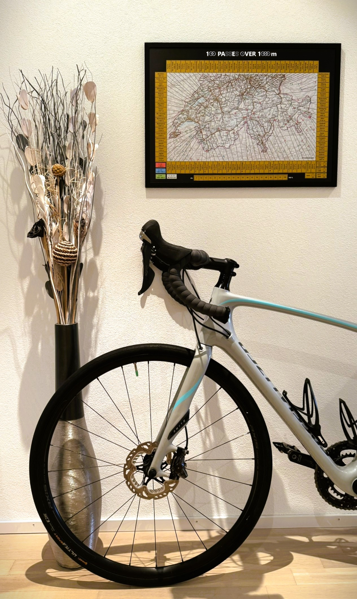 100 Passes Challenge cycling scratch map (frame / poster tube)